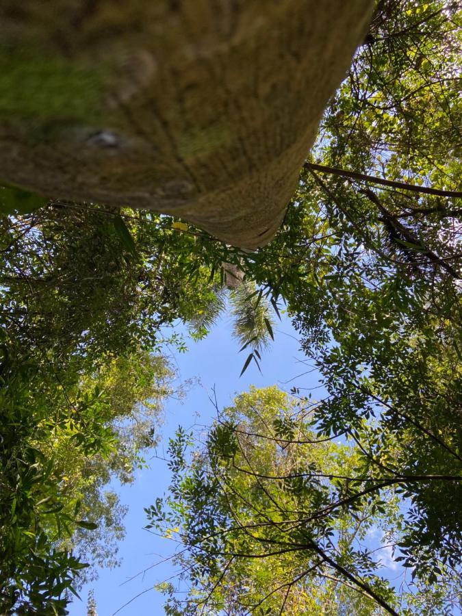 Sitio Metropole - Refugio Na Natureza Piraju Buitenkant foto